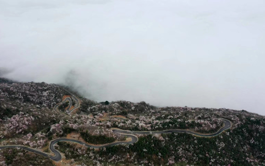 57365z线路检测中心(中国)有限公司