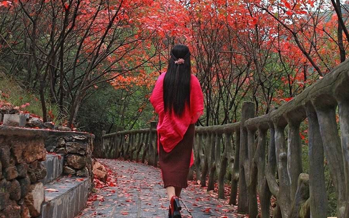 57365z线路检测中心(中国)有限公司