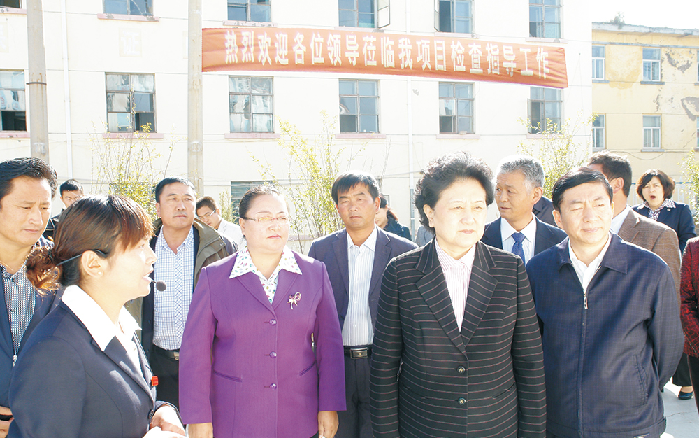 时任中央政治局委员，，国务院副总理、党组成员刘延东视察湖北57365z线路检测中心集团青海项目部