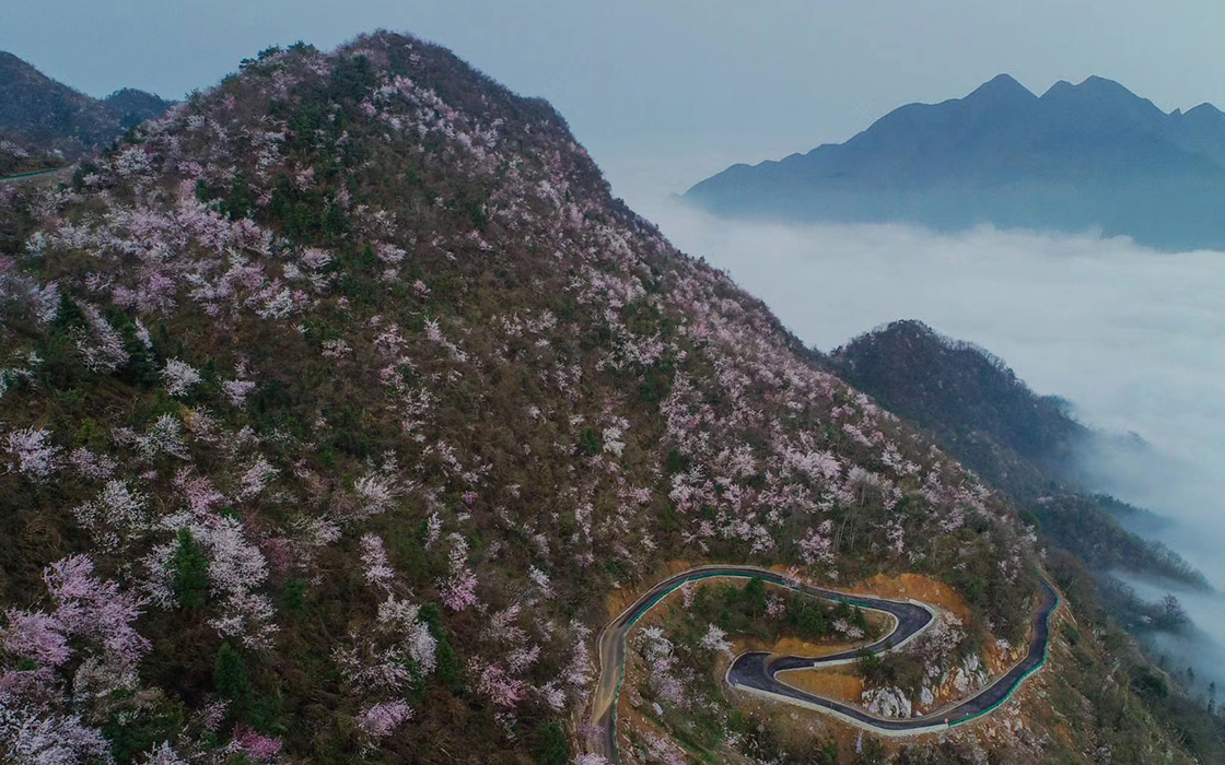 57365z线路检测中心(中国)有限公司