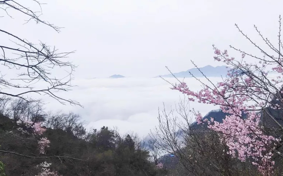57365z线路检测中心(中国)有限公司