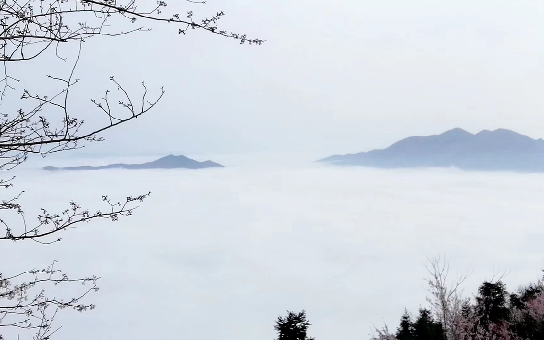57365z线路检测中心(中国)有限公司