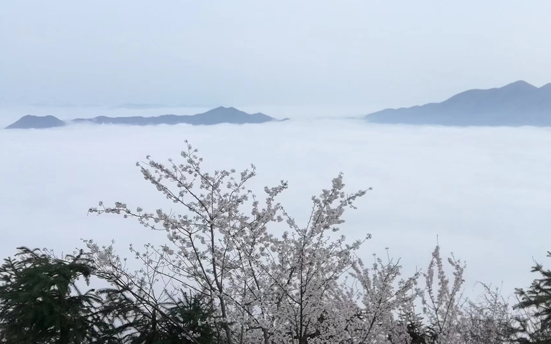57365z线路检测中心(中国)有限公司