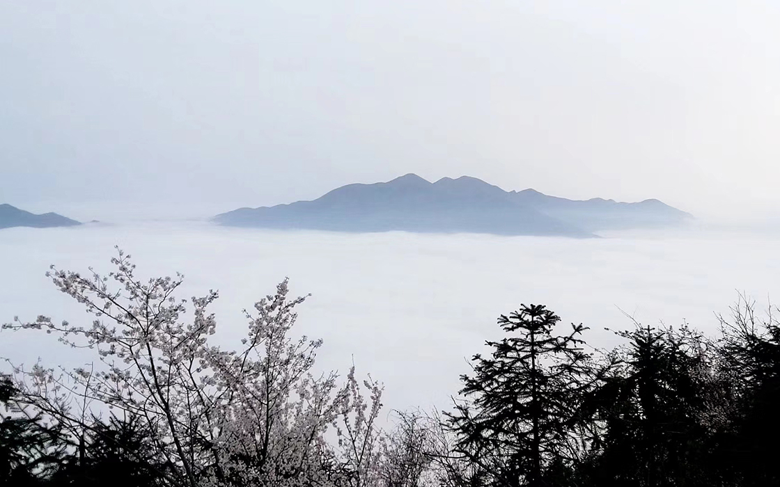 57365z线路检测中心(中国)有限公司
