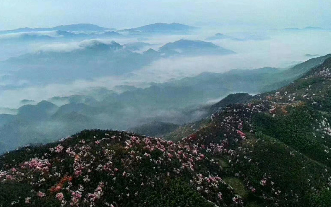 57365z线路检测中心(中国)有限公司