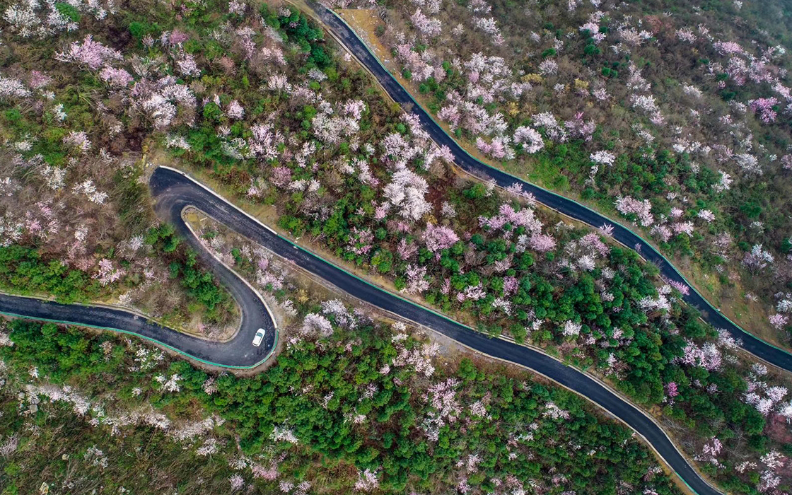 57365z线路检测中心(中国)有限公司