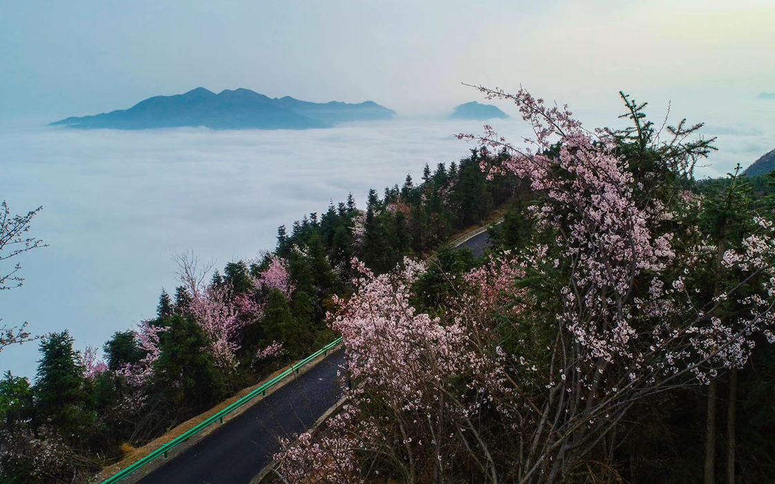 57365z线路检测中心(中国)有限公司