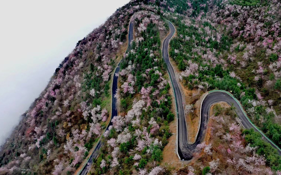 57365z线路检测中心(中国)有限公司