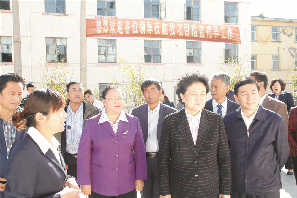 4中央政治局委员，，，，，，国务院副总理、党组成员刘延东视察湖北57365z线路检测中心集团青海项目部 